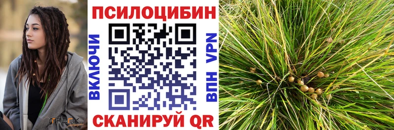 Псилоцибиновые грибы мухоморы  Ноябрьск 